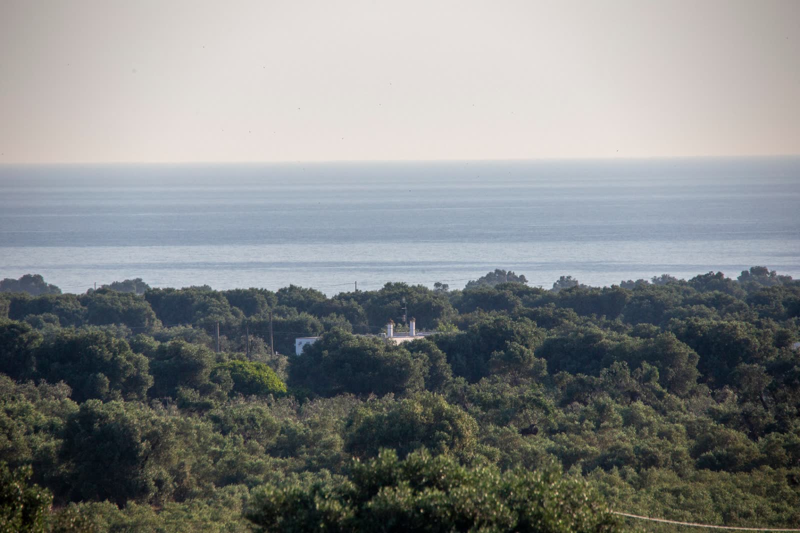 Suite del Casale 8